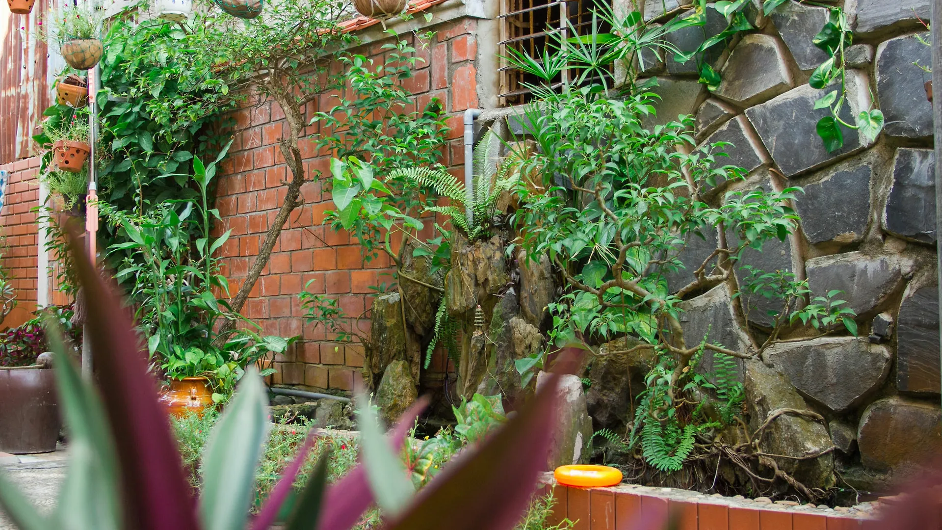 Red Ceramics Homestay Χόι Αν