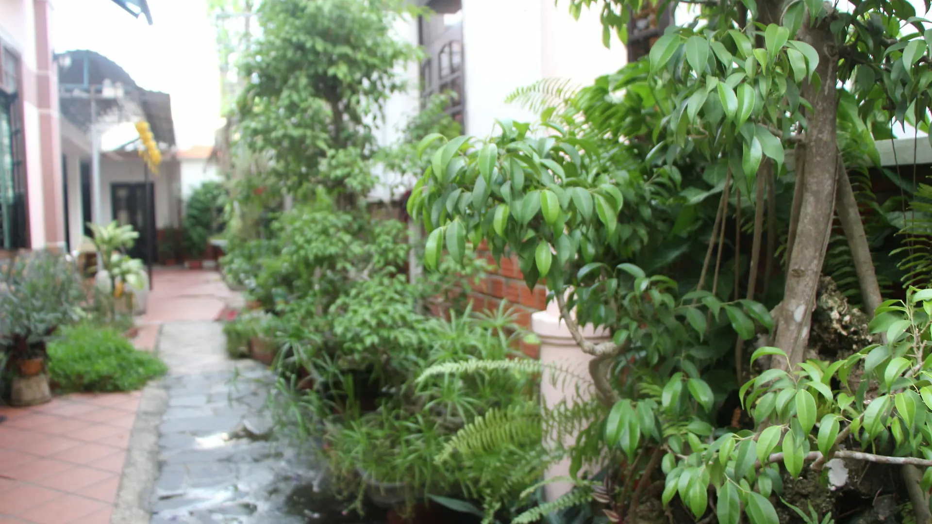 Red Ceramics Homestay Χόι Αν